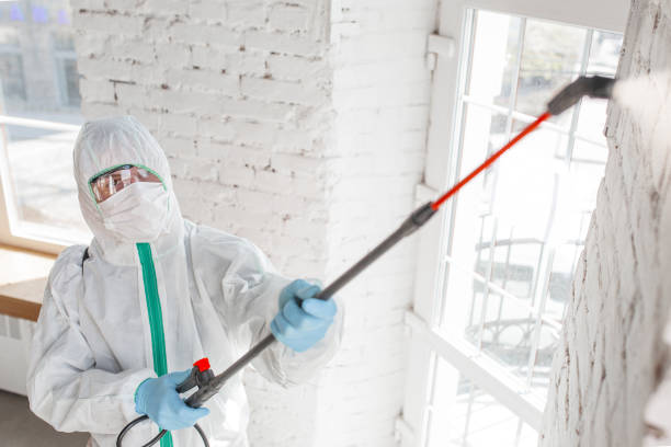 Best Asbestos and Lead Testing During Mold Inspection  in Broadview Heights, OH