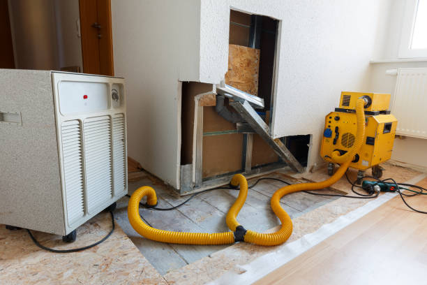 Best Comprehensive Air Testing for Mold Contaminants  in Broadview Heights, OH