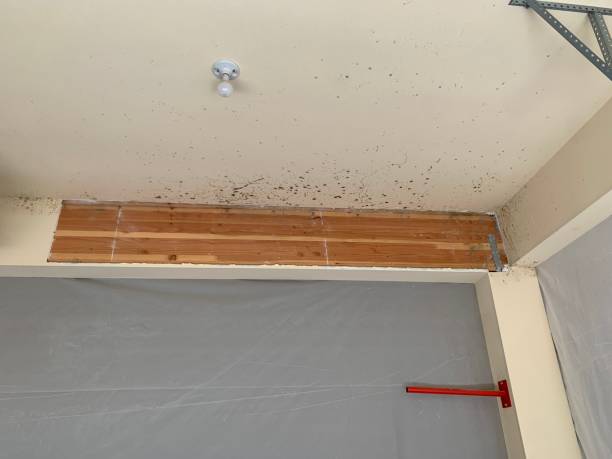 Best Post-Remediation Verification Testing  in Broadview Heights, OH