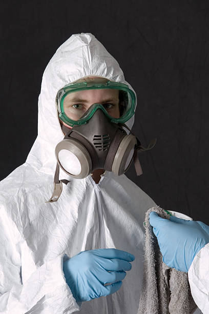 Trusted Broadview Heights, OH Mold Removal Experts